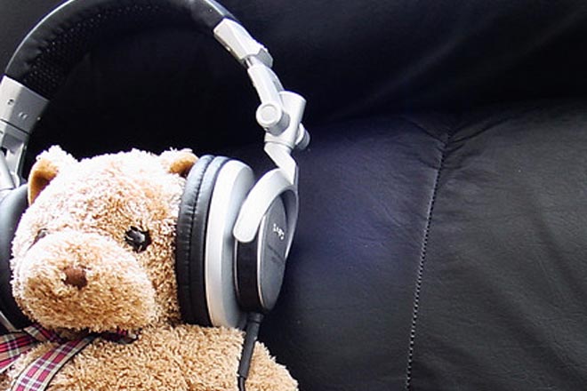 Listening Bear